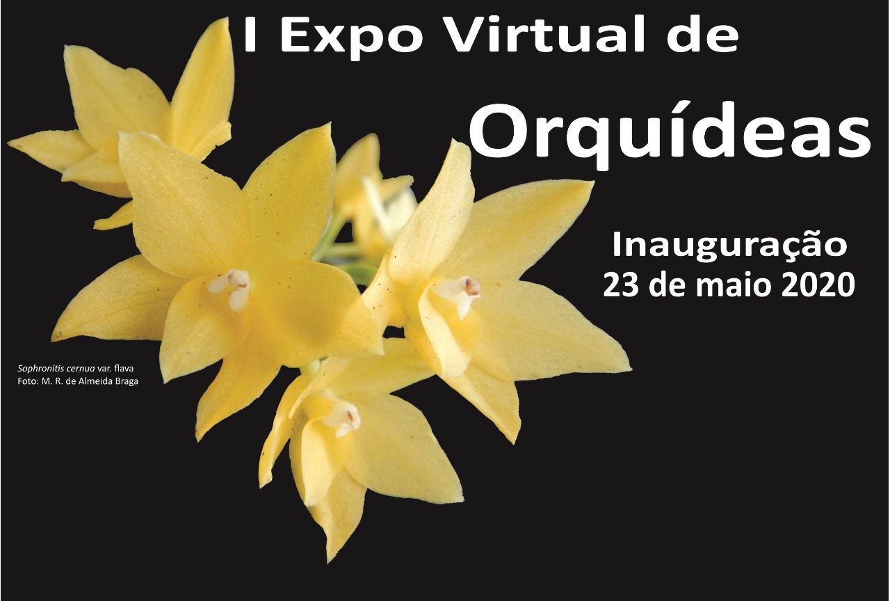 OrquidaRio começa em edição virtual inédita